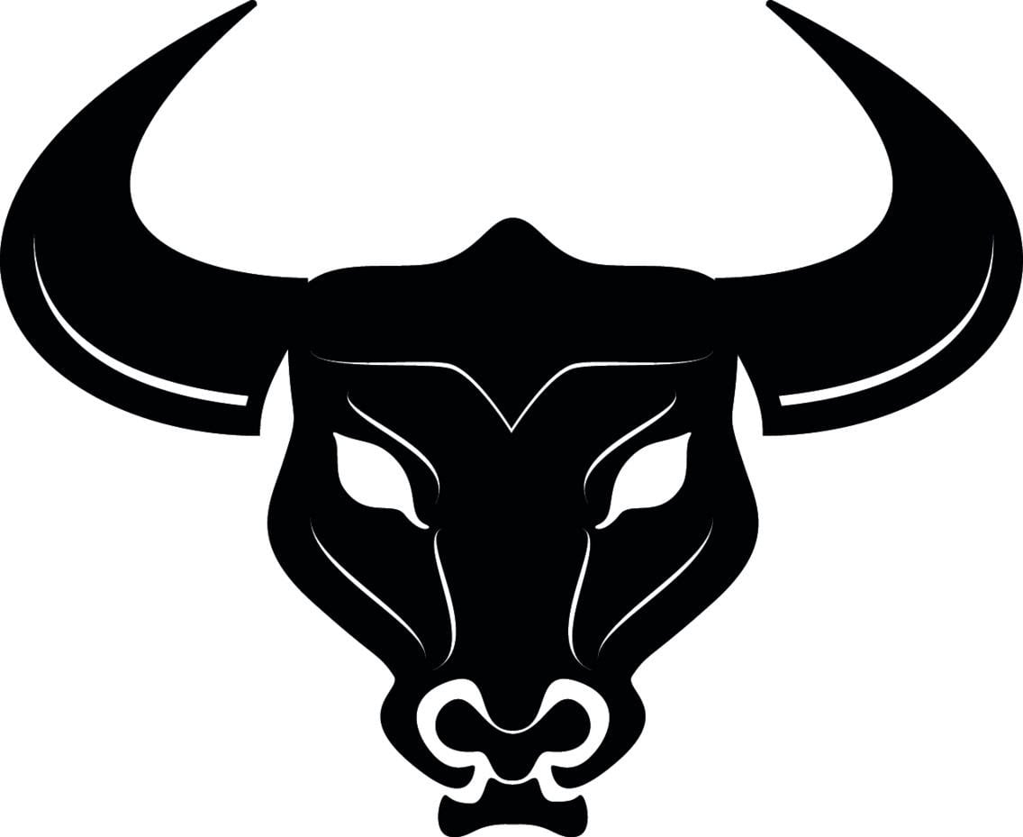MYBULLEYES LOGO V1.0